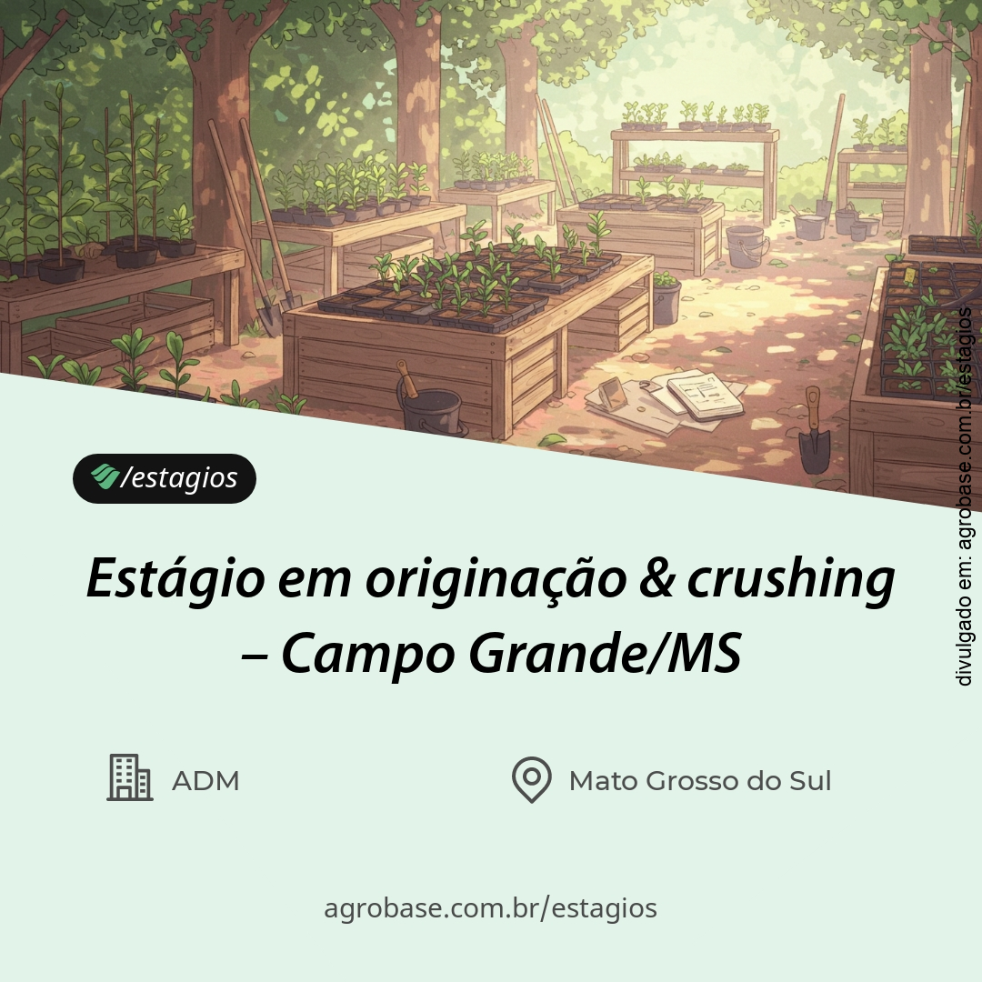 Estágio em originação & crushing – Campo Grande/MS