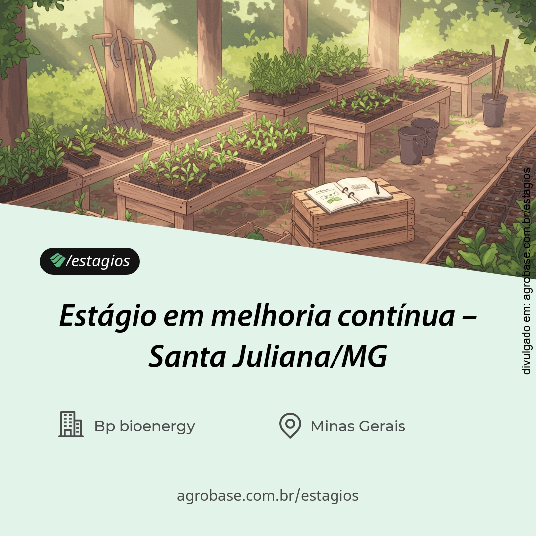 Estágio em melhoria contínua – Santa Juliana/MG