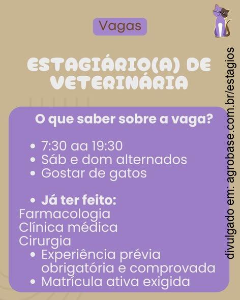 Estágio em veterinária – Porto Alegre/RS [sáb e dom]