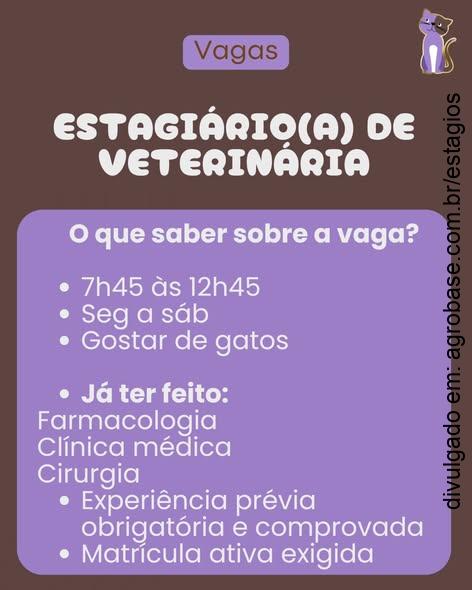 Estágio em veterinária – Porto Alegre/RS [seg. a sáb.]