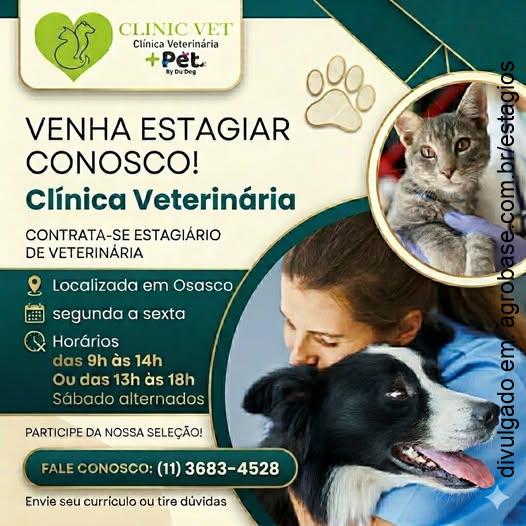 Estágio em medicina veterinária – Osasco/SP