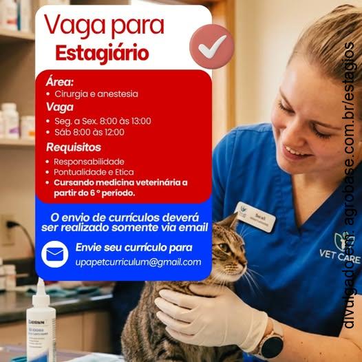 Estágio em cirurgia e anestesia – Porto Velho/RO