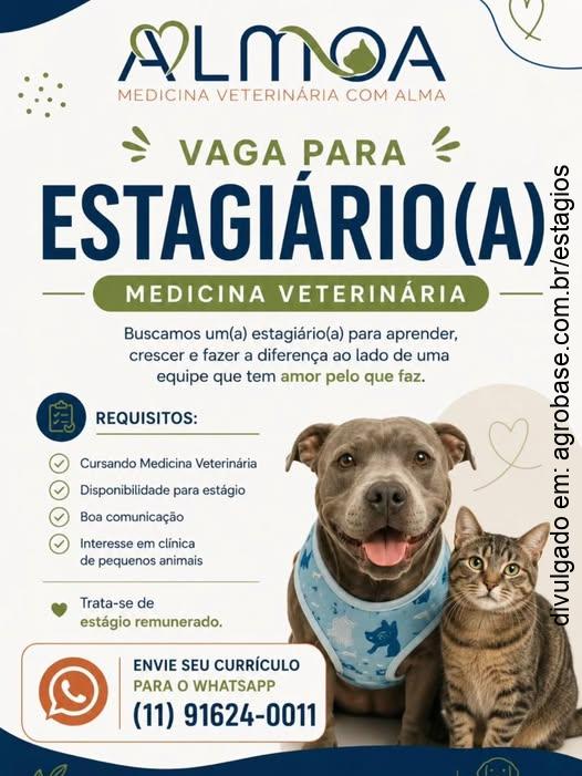 Estágio em medicina veterinária – São Paulo/SP [Vila Mariana]