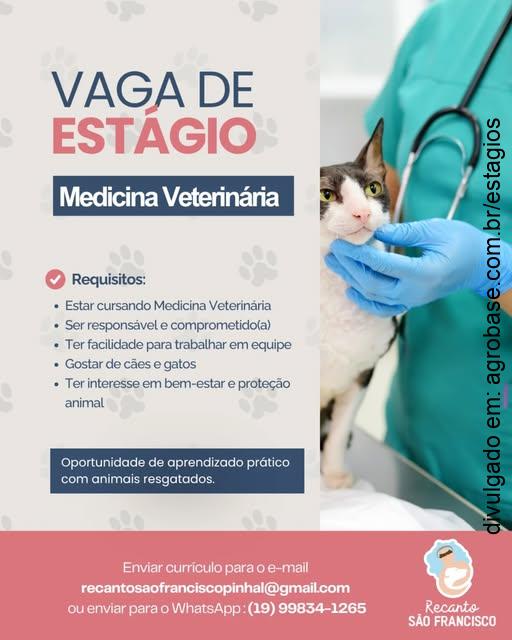 Estágio em medicina veterinária – Espírito Santo do Pinhal/SP
