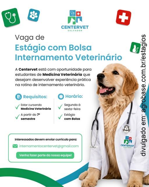 Estágio internamento veterinário – Salvador/BA