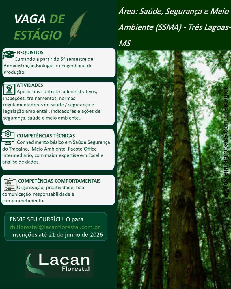 Estágio em saúde, segurança e meio ambiente (ssma) – Três Lagoas/MS