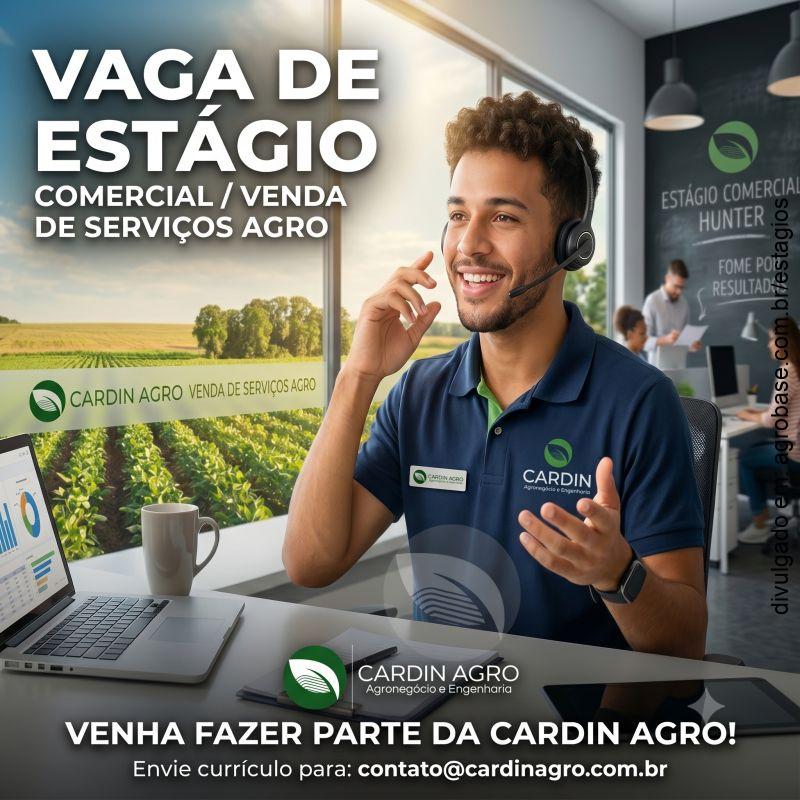Estágio comercial [hunter] – Londrina/PR