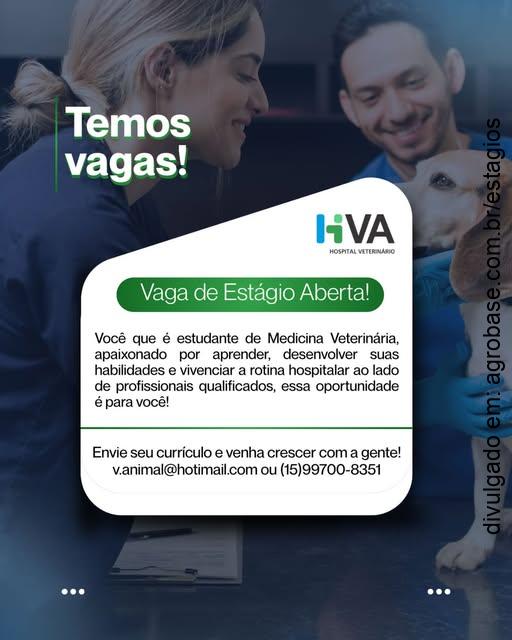 Estágio em medicina veterinária – Tatuí/SP