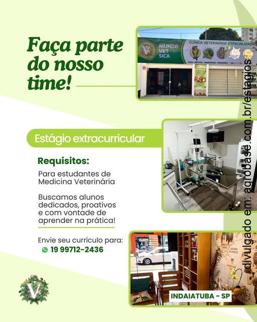 Estágio extracurricular em medicina veterinária – Indaiatuba/SP