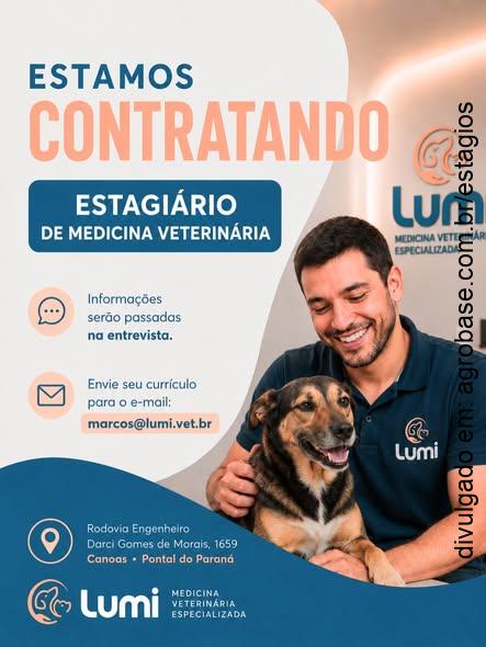 Estágio de medicina veterinária – Paranaguá/PR