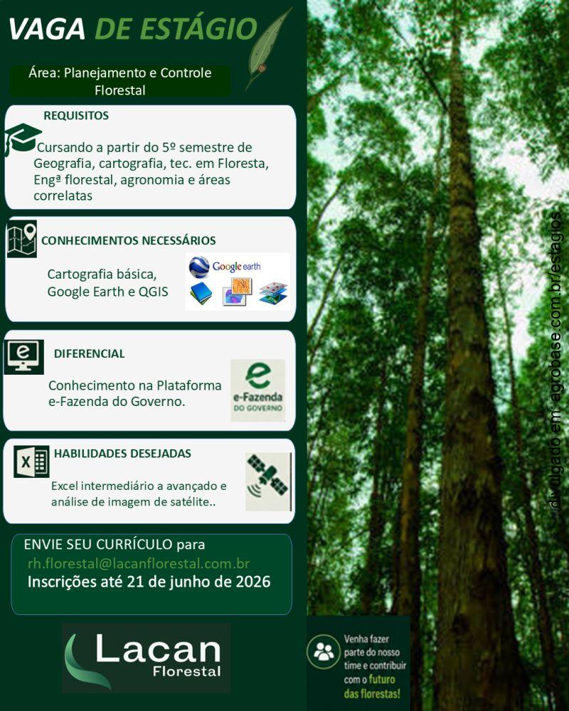 Estágio em planejamento e controle florestal – São Paulo/SP