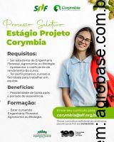 Estágio no projeto Corymbia – Viçosa/MG