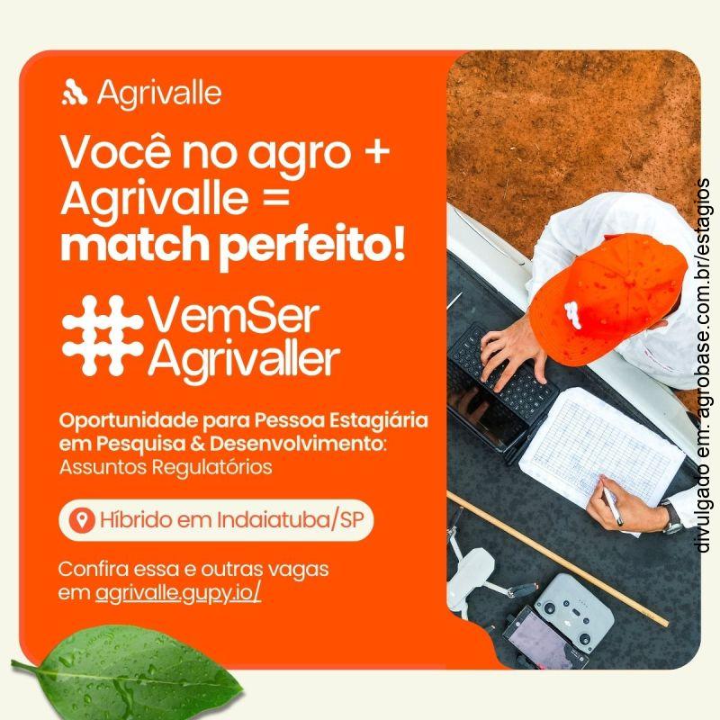 Estágio em pesquisa & desenvolvimento: assuntos regulatórios – Indaiatuba/SP