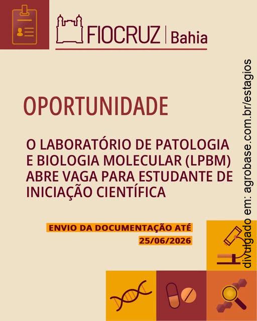 Vaga iniciação científica em entomologia – Salvador/BA