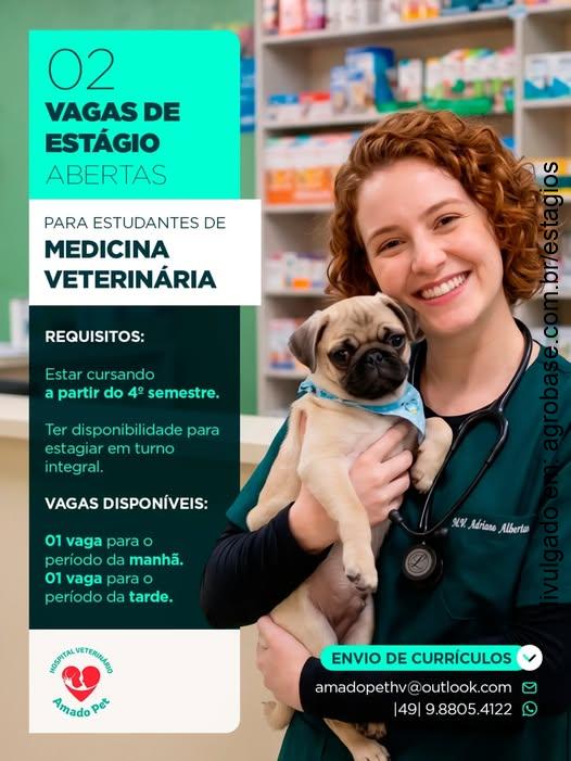 2 vagas de estágio em medicina veterinária – Chapecó/SC