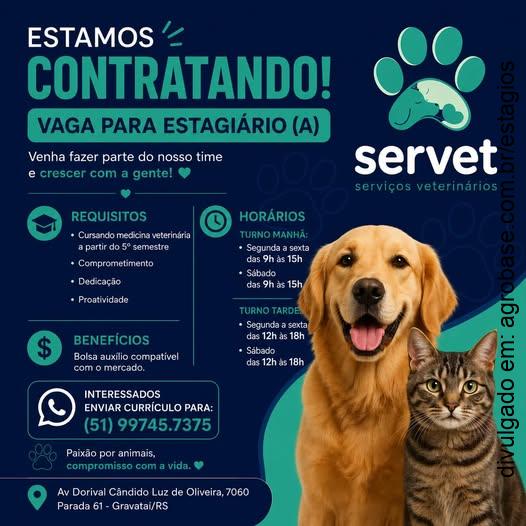 Estágio em medicina veterinária – Gravataí/RS