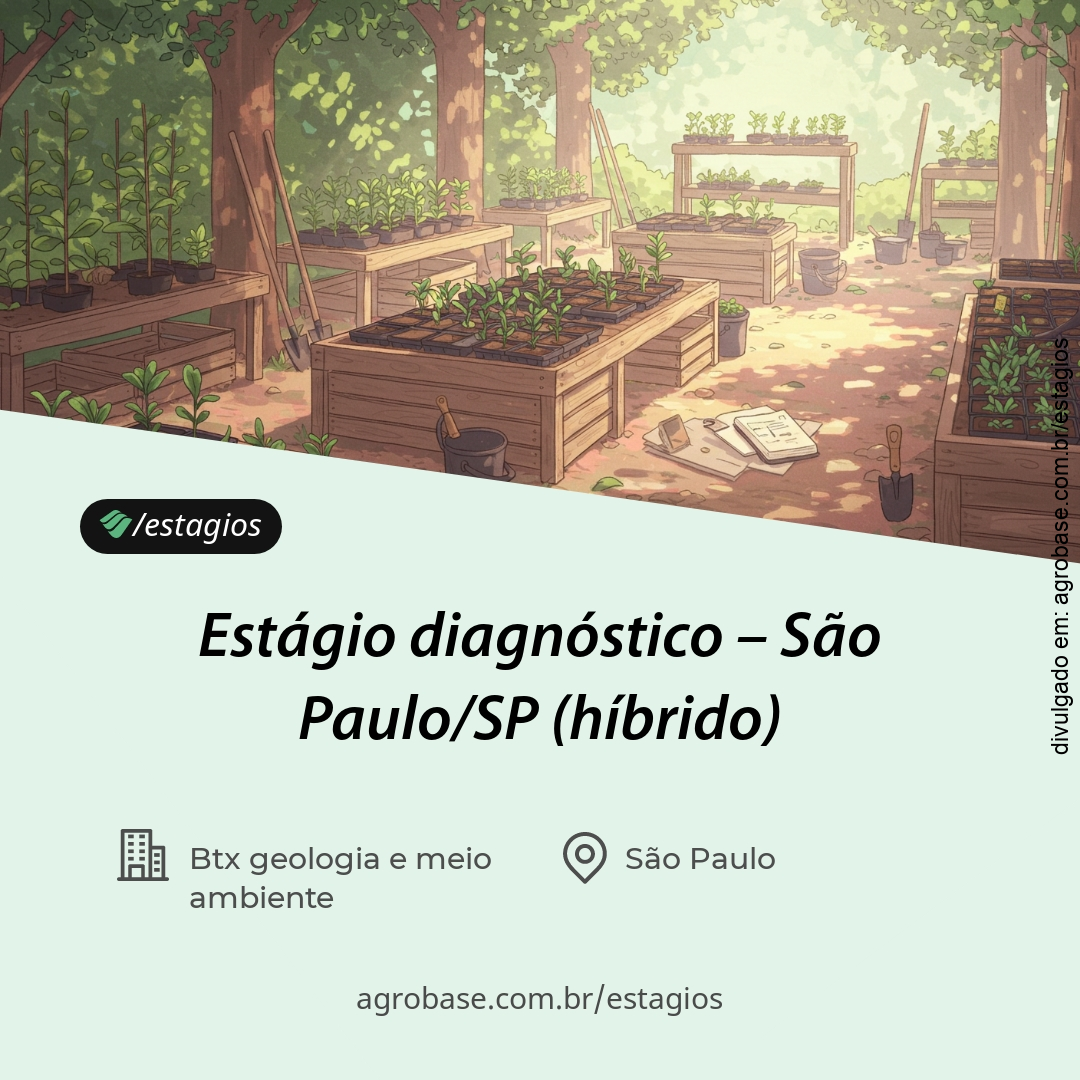 Estágio diagnóstico – São Paulo/SP (híbrido)