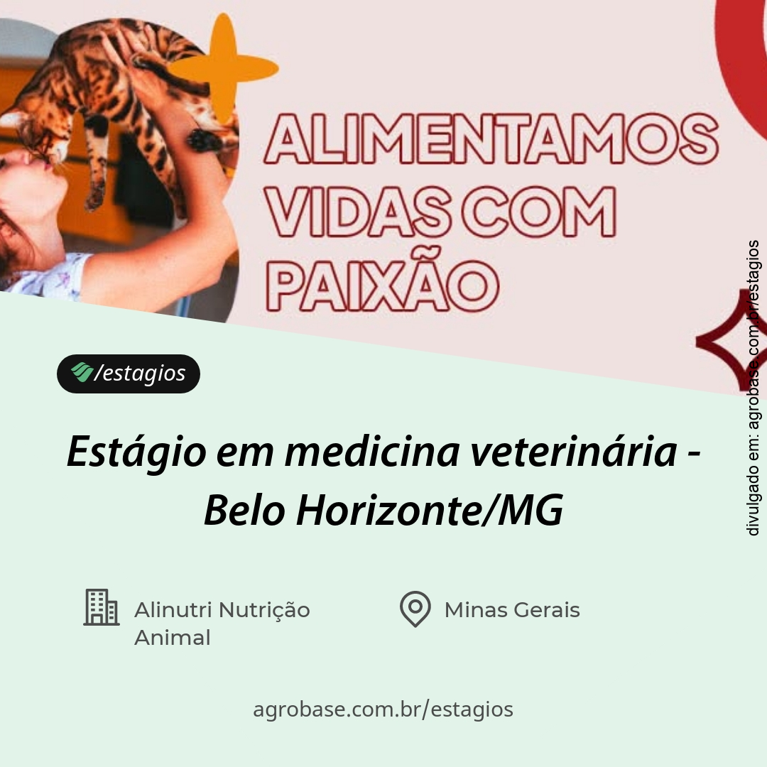 Estágio em medicina veterinária – Belo Horizonte/MG