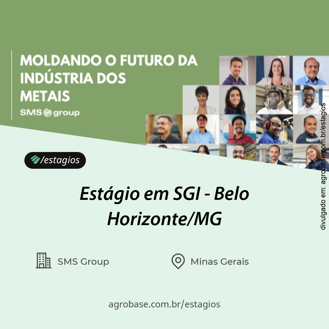 Estágio em SGI – Belo Horizonte/MG