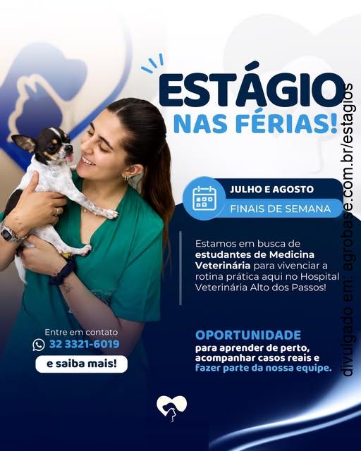 Estágio nas férias [medicina veterinária] – Juiz de Fora/MG