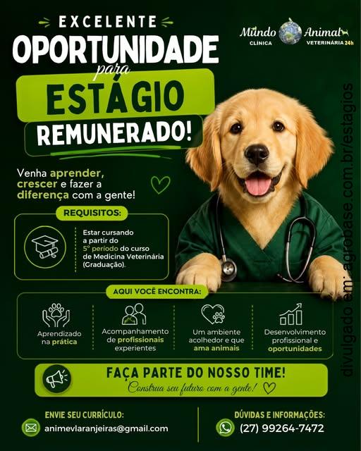 Estágio remunerado em medicina veterinária – Serra/ES