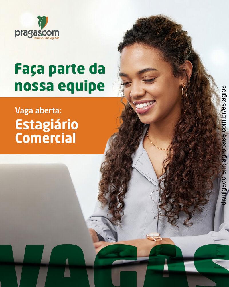 Estágio comercial – Piracicaba/SP