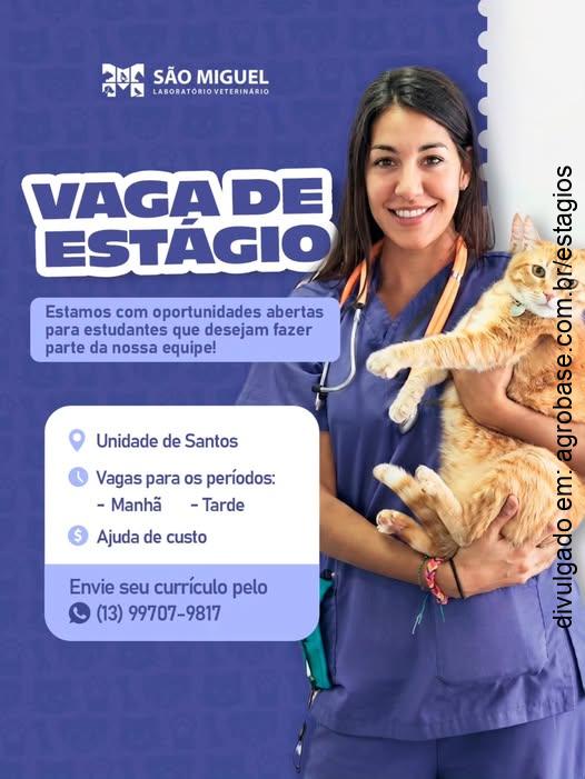 Estágio em laboratório veterinário – Santos/SP