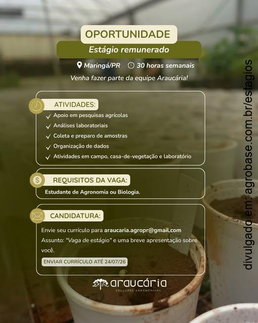 Estágio em agronomia ou biologia – Maringá/PR