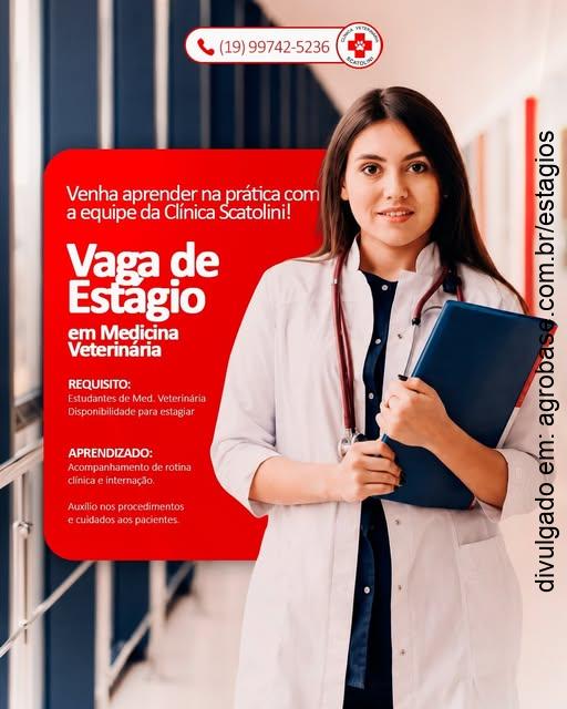 Estágio em medicina veterinária – Pirassununga/SP