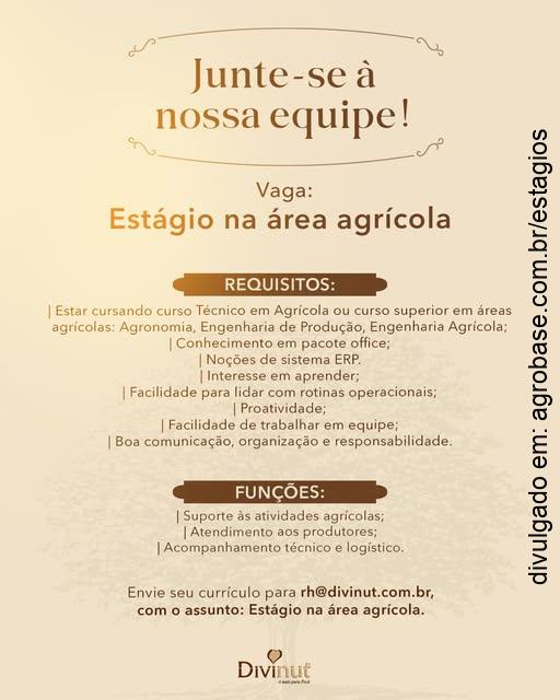 Estágio na área agrícola – Cachoeira do Sul/RS
