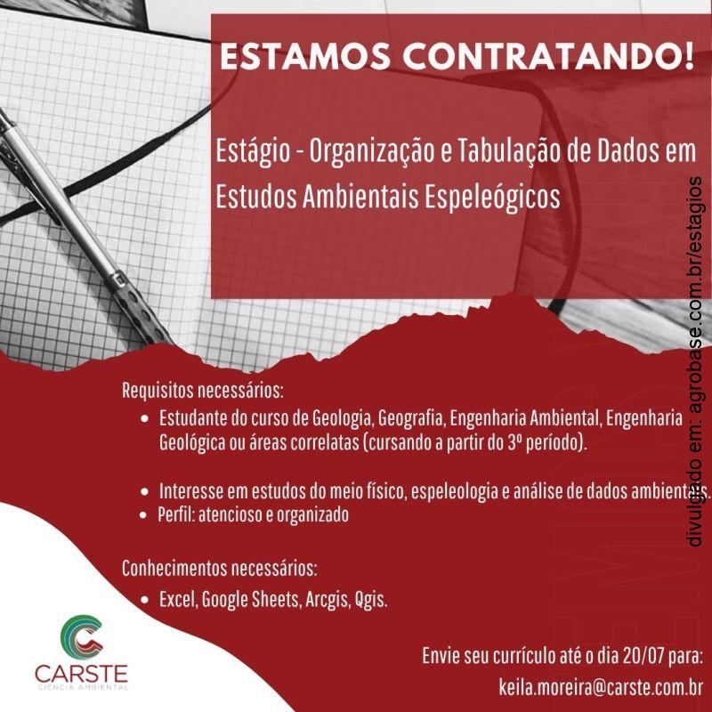 Estágio organização e tabulação de dados em estudos ambientais espeleológicos – Belo Horizonte/MG