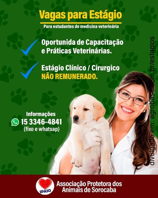 Estágio clínico/ cirúrgico não remunerado – Sorocaba/SP