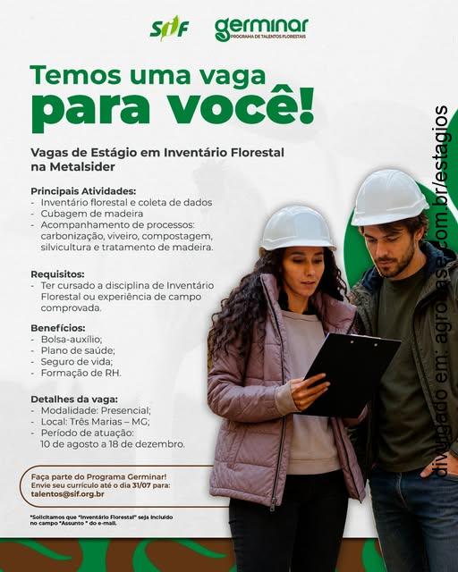 Estágio em inventário florestal – Três Marias/MG