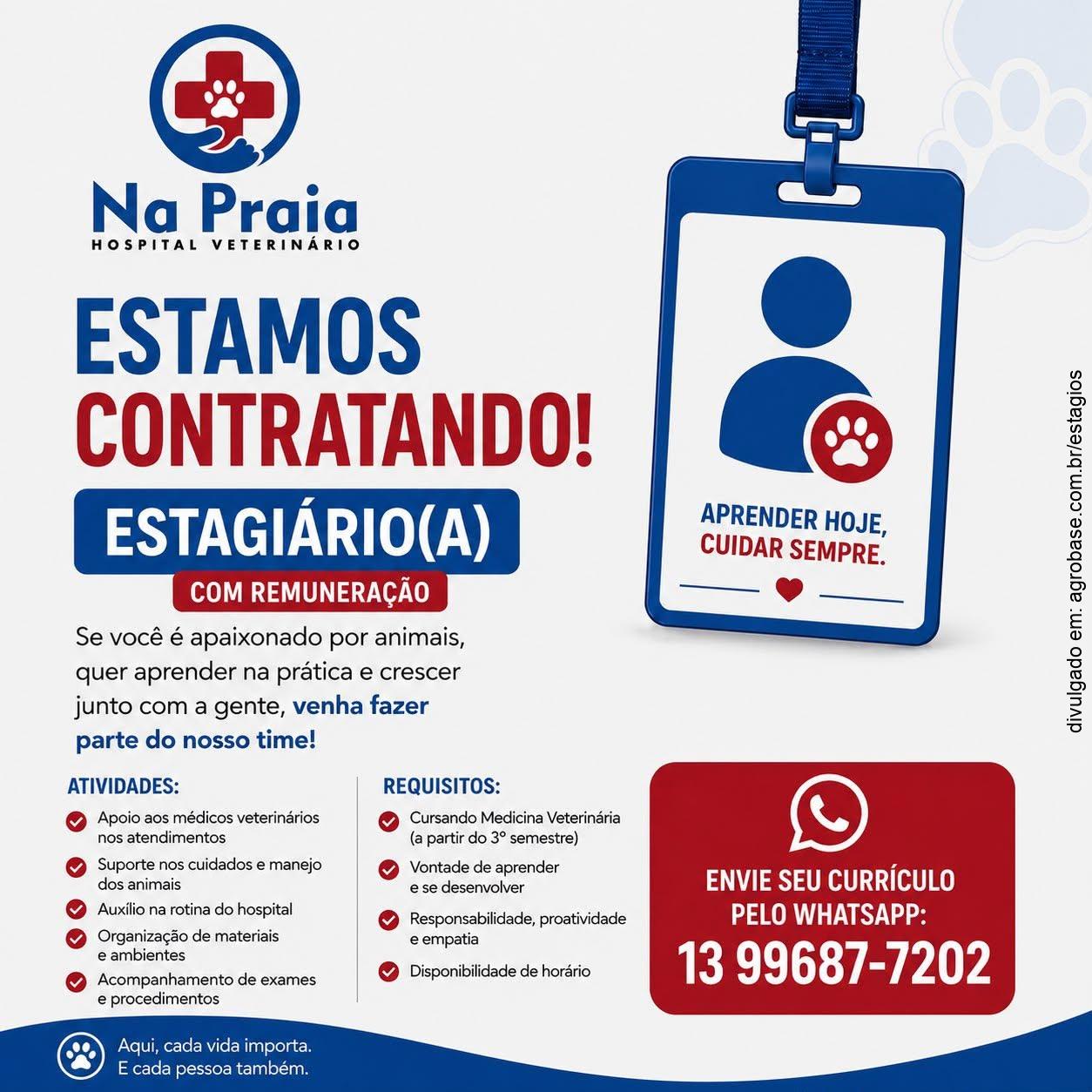 Estágio em medicina veterinária – Peruíbe/SP