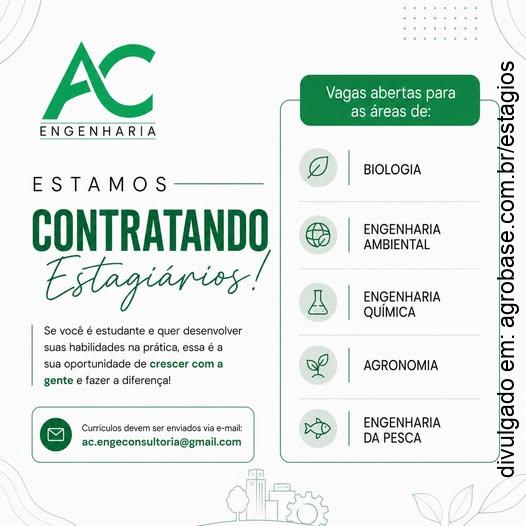 Estágio AC Engenharia e Consultoria – Toledo/PR