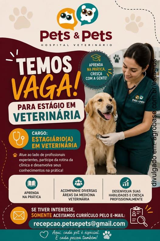 Estágio medicina veterinária – Ijuí/RS