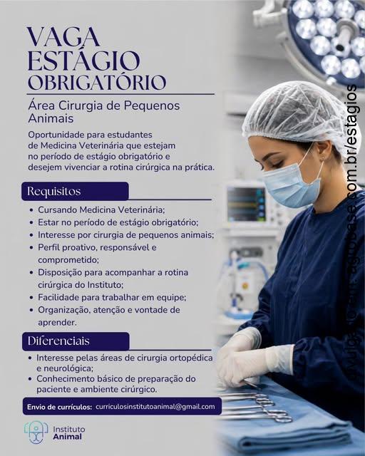 Estágio obrigatório cirurgia de pequenos animais – São Carlos/SP