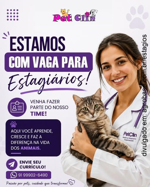 Estágio em medicina veterinária – Belém/PA
