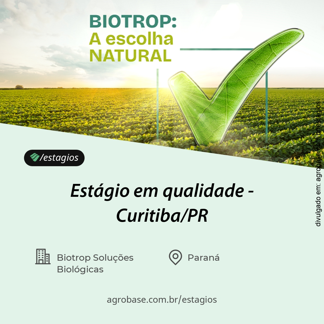 Estágio em qualidade – Curitiba/PR