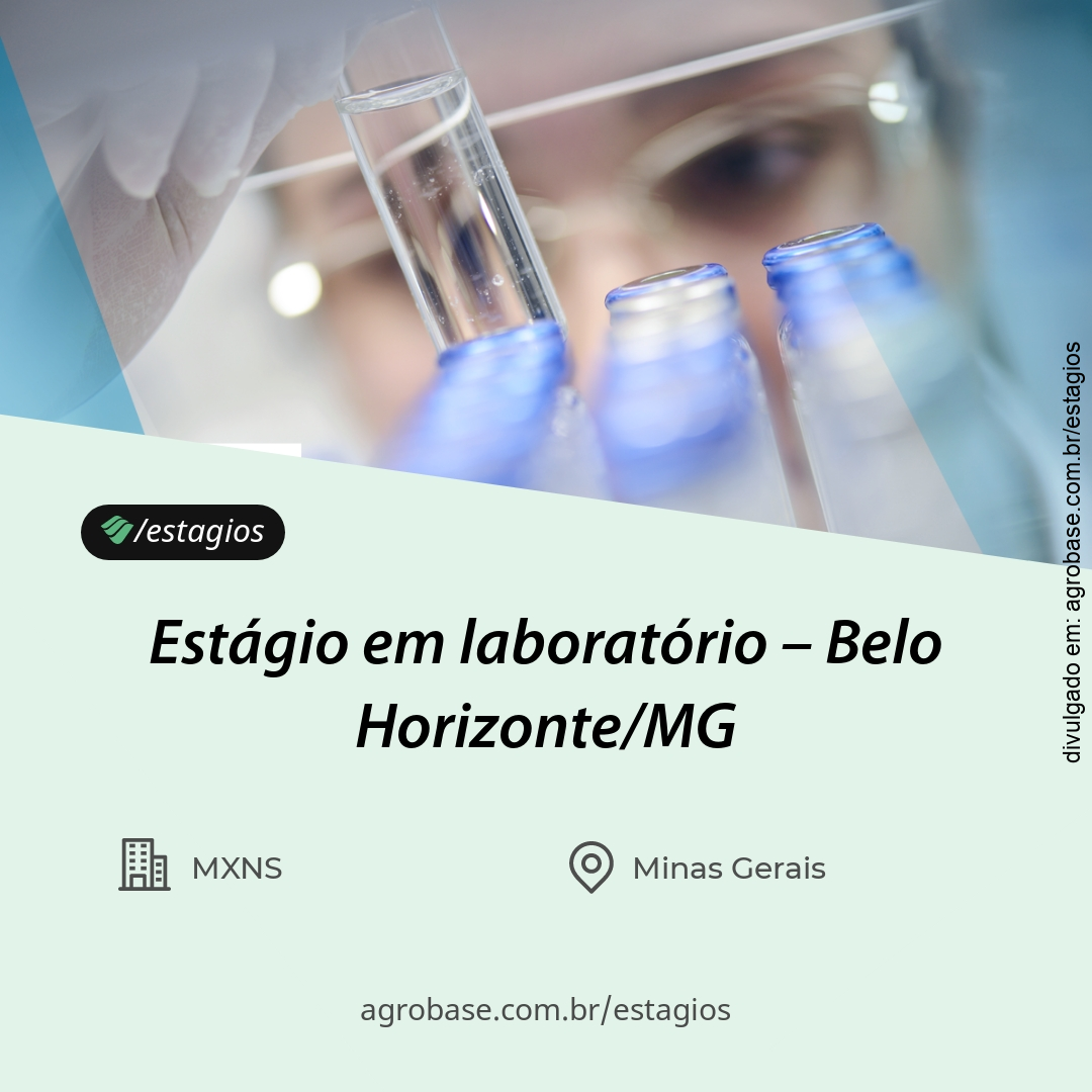 Estágio em laboratório – Belo Horizonte/MG