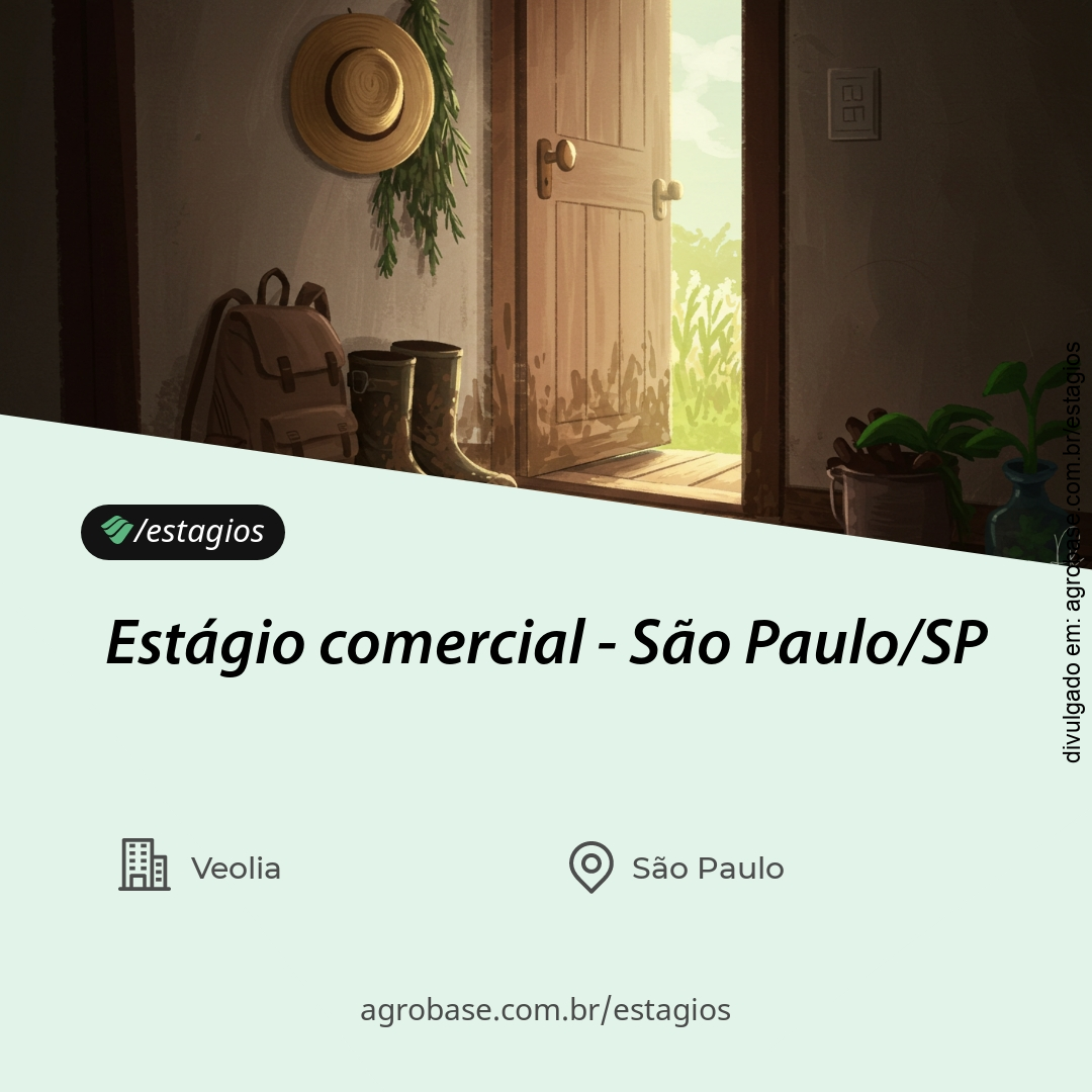 Estágio comercial – São Paulo/SP