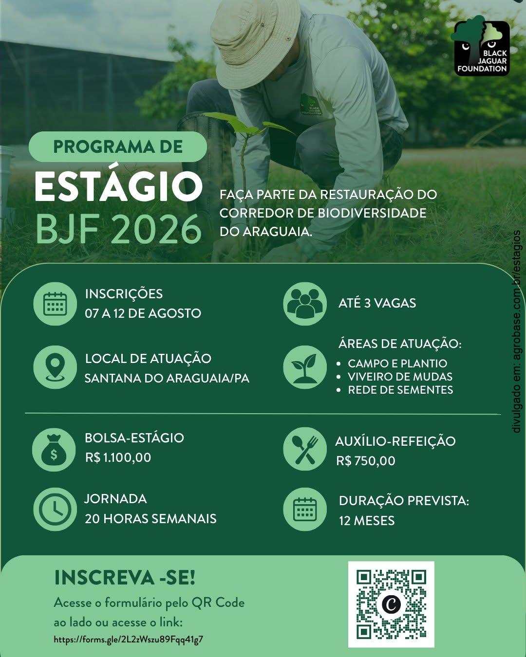Programa de estágio Black Jaguar foundation 2026 – Santana do Araguaia/PA