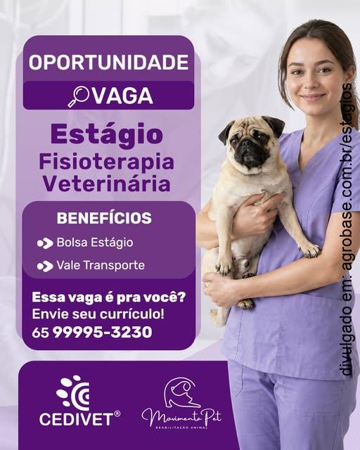 Estágio em fisioterapia veterinária – Cuiabá/MT