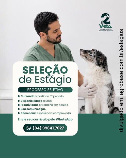 Estágio em clínica veterinária – Natal/RN