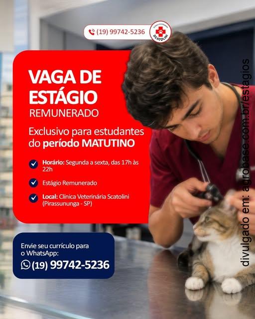 Estágio em medicina veterinária – Pirassununga/SP