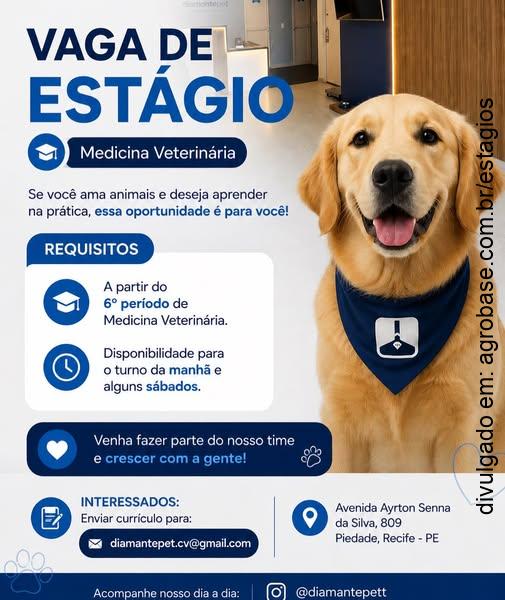 Estágio medicina veterinária – Recife/PE [Piedade]
