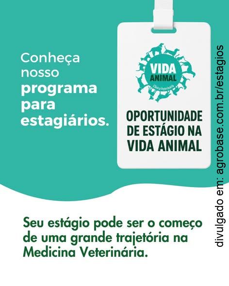 Estágio em medicina veterinária integrativa – Belo Horizonte/MG