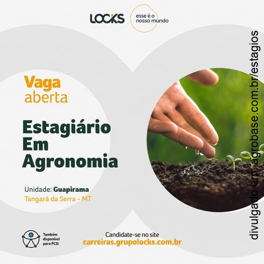 Estágio em agronomia – Diamantino/MT