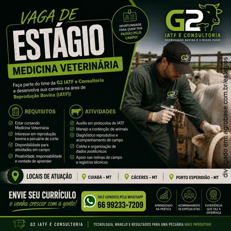 Estágio medicina veterinária [reprodução bovina] – MT