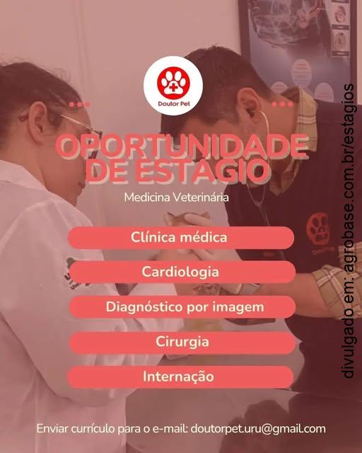 Estágio em medicina veterinária – Uruguaiana/RS
